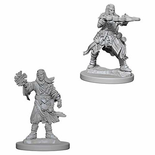 Pathfinder Battles Deep Cuts Unpainted Miniatures - Male Human Wizard