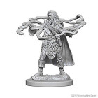 Dungeons & Dragons: Nolzurs Marvelous Unpainted...