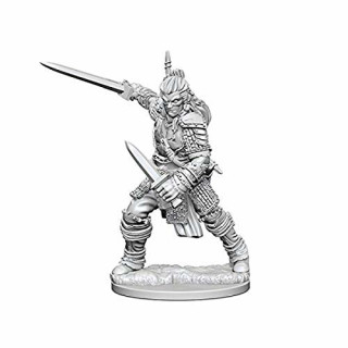 Pathfinder: Deep Cuts Unpainted Miniatures: Human Male Fighter
