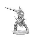Pathfinder: Deep Cuts Unpainted Miniatures: Human Male...
