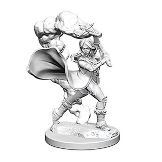 Pathfinder: Deep Cuts Unpainted Miniatures: Human Female Cleric