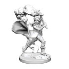 Pathfinder: Deep Cuts Unpainted Miniatures: Human Female...