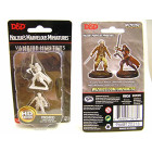 D&D Nolzurs Marvelous Miniatures - Vampire Hunters
