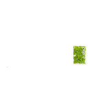 Pixel Bags Small Pixel Chips  (60-Piece, Grass Green)