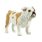 Safari s250729 Best in Show Hunde Bulldog Miniatur