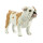 Safari s250729 Best in Show Hunde Bulldog Miniatur