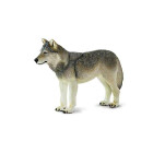 Safari 100509 Grauer Wolf