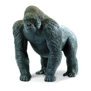 Safari 111589 – Gorilla
