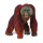 Safari Ltd Wildlife Wonders Bornean Orangutan