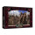 CMON SIF602 Miniaturen, Mehrfarbig