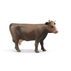 Kuh braun (unterschiedliche Kopfstellungen, sortiert)