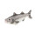 Bauer Spielwaren 14056 Seebarsch Blickfänger Plüschtier, weiß/grau, 25 cm