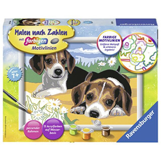 Ravensburger Malen nach Zahlen 28329 - Jack Russel Welpen - Für Kinder ab 7 Jahren