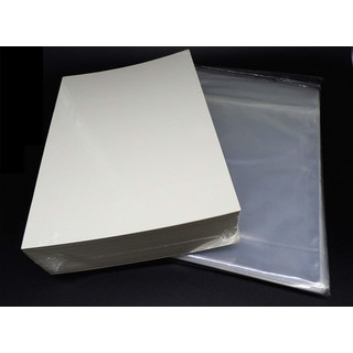 100 Docsmagic.de DIN A4 Magazine Size Resealable Bags + Backing Boards - Combo Pack 216 x 297 mm - 8.5 x 11
