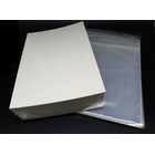 100 Docsmagic.de DIN A4 Magazine Size Resealable Bags +...
