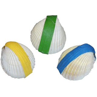 WUNDERMUSCHEL BUNT