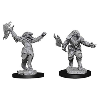 Female Dragonborn Fighter: D&D Nolzurs Marvelous Unpainted Miniatures (W11)