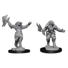 Female Dragonborn Fighter: D&D Nolzurs Marvelous...