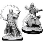 Male Human Wizard: D&D Nolzurs Marvelous Unpainted...