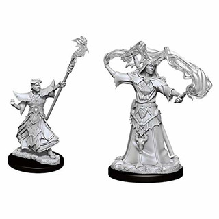 Male Human Sorcerer: Pathfinder Battles Deep Cuts Unpainted Miniatures (W11)