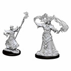 Male Human Sorcerer: Pathfinder Battles Deep Cuts...