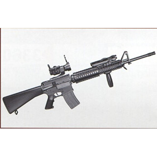 1/3 Waffenserie: M16A4