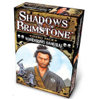 Shadows of Brimstone: Hero Pack - Wandering Samurai