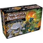 Shadows of Brimstone: Void Swarms - Enemy Pack