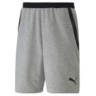 Puma Herren Short, Light Gray Heather, XL
