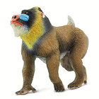 Safari Mandrill