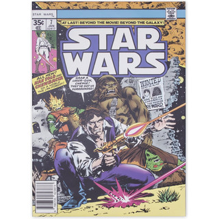 Star Wars Han Solo & Chewbacca Comic-Leinwand