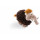 Nici Plüschtier Mammut 25 cm – Mammut Kuscheltier für Jungen, Mädchen & Babys – Flauschiges Stofftier zum Kuscheln, Spielen und Schlafen – Gemütliches Schmusetier für Kuscheltierliebhaber – 45308