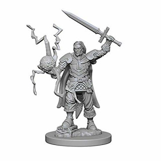 Pathfinder: Deep Cuts Unpainted Miniatures: Human Male Cleric
