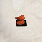 Fire Vampire Monster Figure: Arkham Horror Premium...