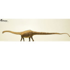 Eofauna Diplodocus Carnegii Dinosauriermodell