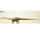 Eofauna Diplodocus Carnegii Dinosauriermodell