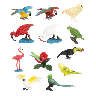 Safari Bulk Taschen – Exotische Vögel 48 Teile