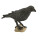 Safari s150829 Wings of The World Raven Miniatur