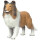 Safari 2393-29 - Collie