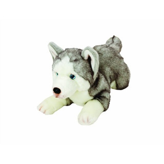 Yomiko 12057 - Suki Gifts Plüschtier Husky Hund, 36 cm