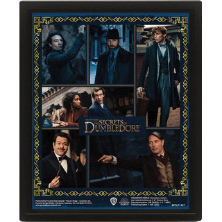 Pyramid International Fantastic Beasts The Secrets of Dumbledore 3D-Poster, 25 cm x 20 cm x 1,3 cm, offizielles Produkt