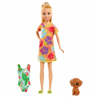 Barbie GRT89 - Barbie und Chelsea „Der verrückte Geburtstag“ Stacie-Puppe und Zubehör, für Kinder von 3 bis 7 Jahren