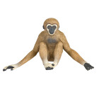 Safari Gibbon (A20)