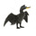 Safari Schlangenhalsvogel Anhinga (A19)