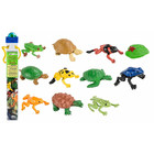 Safari 687504  Frösche und Schildkröten