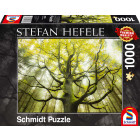 Schmidt Spiele 59669 Other License Stefan Hefele,...