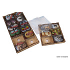 Docsmagic.de Organizer Insert for Frosthaven Box - Einsatz