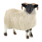 Bullyland 62718 - Scottish Blackface Schaf, Circa 8 cm