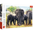 Trefl Puzzle 1000 – Elefanten