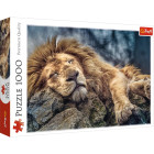 Trefl Puzzle 1000 – Der schlafende Löwe